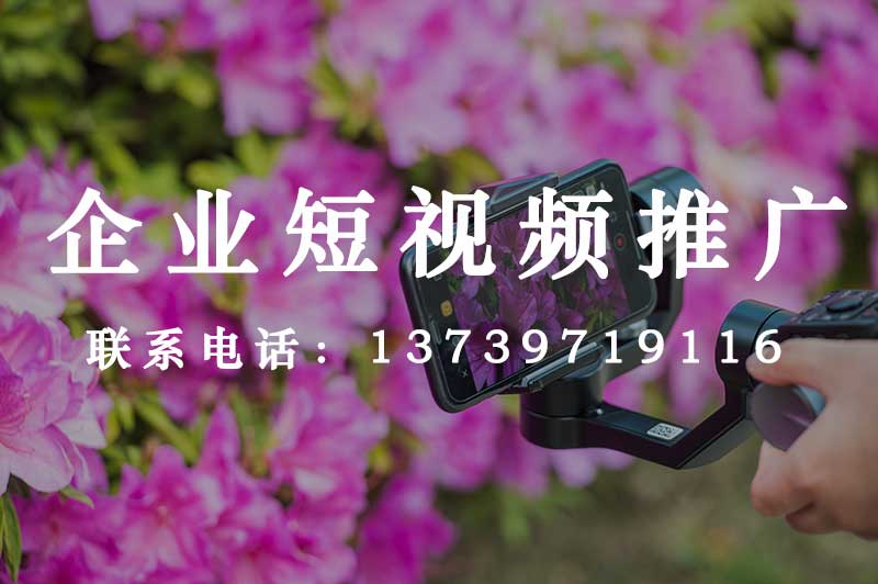 抖音代運(yùn)營(yíng)公司
